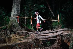 BIB: 
                            <button type="button" onclick="openModal(27392051)" class="btn btn-primary btn-sm float-right btn-popup" data-toggle="modal" data-target=".modal-high-quality">
                        <i class="fas fa-shopping-cart"></i> Add to Cart
                    </button>
                                            <button type="button" onclick="isThisMe(27392051, true)" class="btn btn-success btn-sm float-right btn-popup btn-isme hidden" data-toggle="tooltip" data-placement="bottom" title="นี่คือรูปของคุณใช่ไหม คลิกที่นี่เพื่อเอาเข้าอัลบั้ม">
                        <i class="fas fa-plus"></i> Add to album
                    </button>
                    <button type="button" onclick="isThisMe(27392051, false)" class="btn btn-warning btn-sm float-right btn-popup btn-isnotme hidden">
                        <i class="fas fa-ban"></i> Remove from album
                    </button>